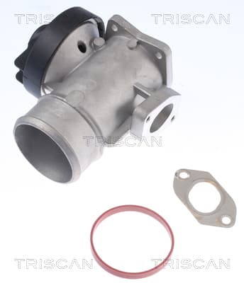 EGR-ventil från TRISCAN