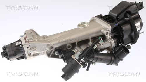 EGR-ventil från TRISCAN