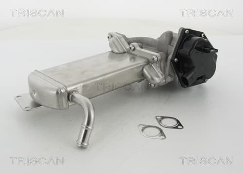 EGR-ventil från TRISCAN