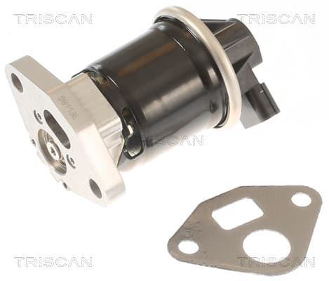 EGR-ventil från TRISCAN