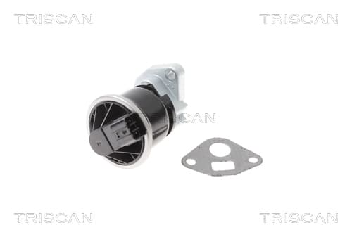 EGR-ventil från TRISCAN