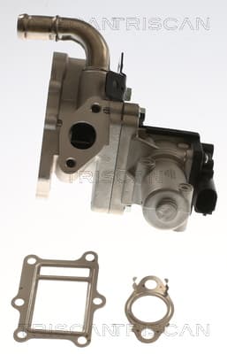 EGR-ventil från TRISCAN