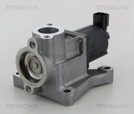 EGR-ventil från TRISCAN