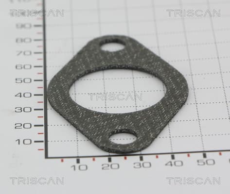 EGR Packning från TRISCAN