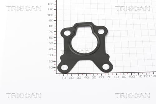 EGR Packning från TRISCAN