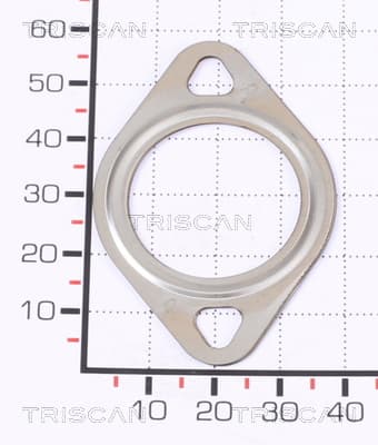 EGR Packning från TRISCAN