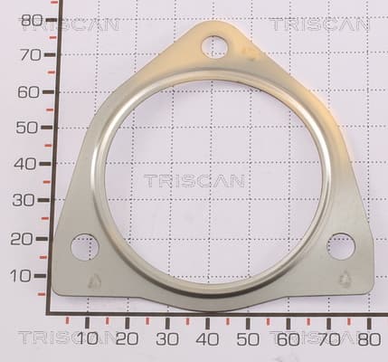 EGR Packning från TRISCAN