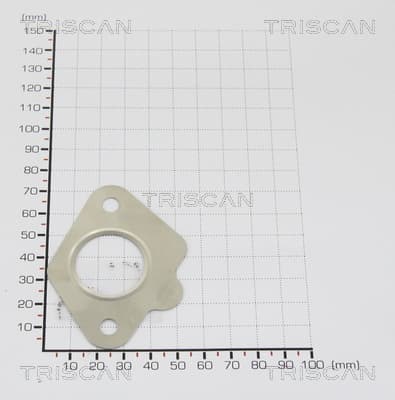 EGR Packning från TRISCAN