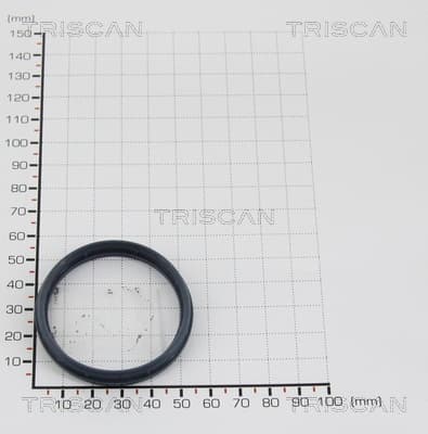 EGR Packning från TRISCAN