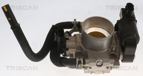 Gasreglage från TRISCAN