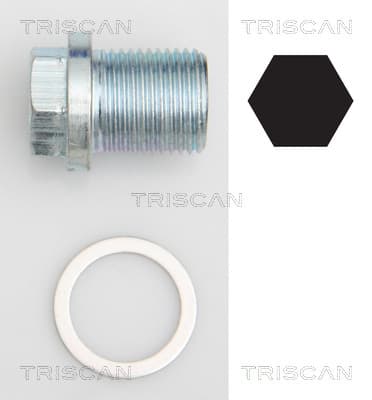 Oljeplugg från TRISCAN