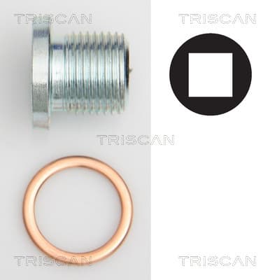 Oljeplugg från TRISCAN