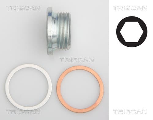 Oljeplugg från TRISCAN