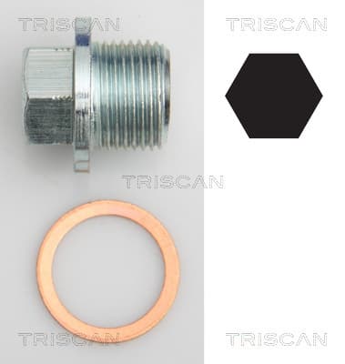Oljeplugg från TRISCAN