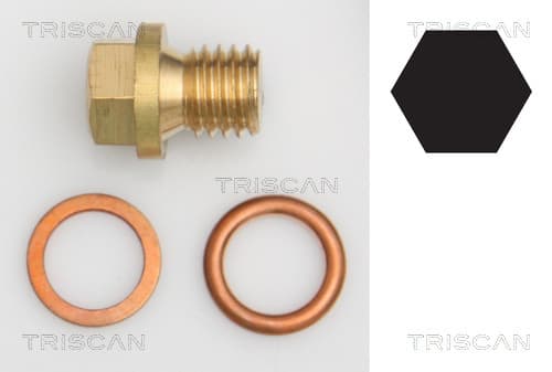 Oljeplugg från TRISCAN