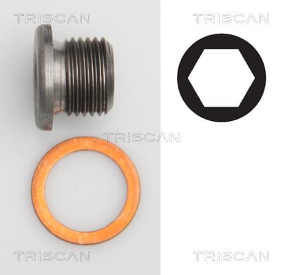 Oljeplugg från TRISCAN