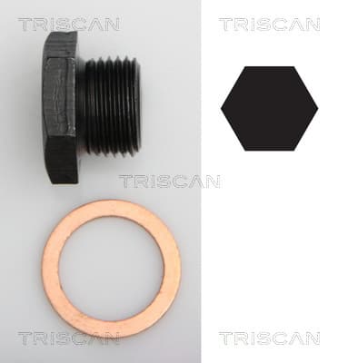 Oljeplugg från TRISCAN