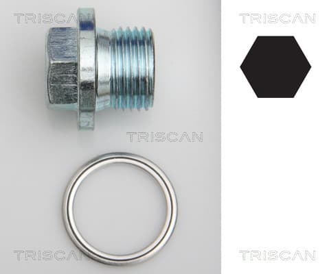 Oljeplugg från TRISCAN