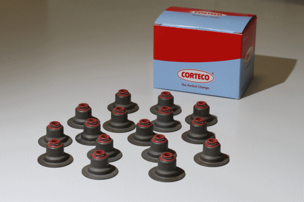 Packningssats ventiler