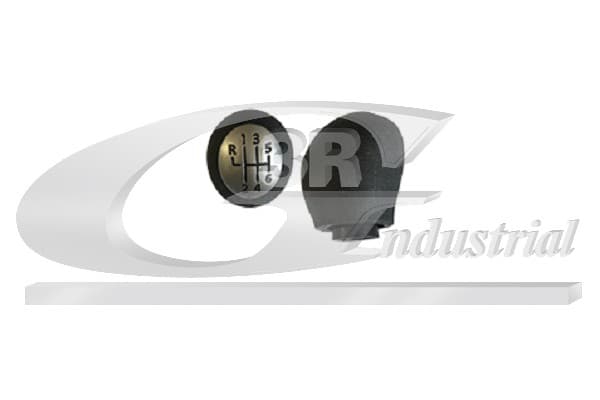 Växelspaksknopp från 3RG