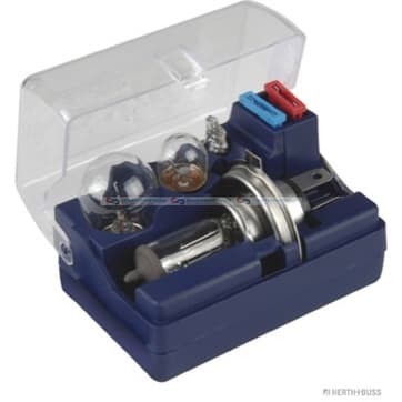 Lampa, s Assortment 12V-H4 från Autofrance