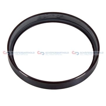 Givare, Ring, ABS från Autofrance