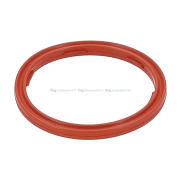 Tätningsring, motoroljenivå sensor