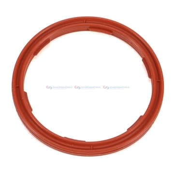 Tätningsring, motoroljenivå sensor