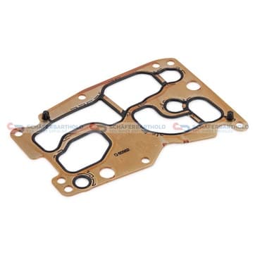 Packning, oljekylare