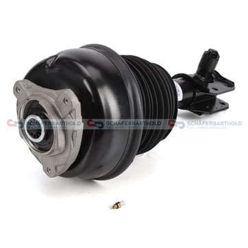 Luftfjädring, fjäderben, Vänster fram, Framaxel vänster — vänster fram, Framaxel vänster från Autofrance