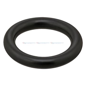 Insugsgrenrörspackning från Autofrance