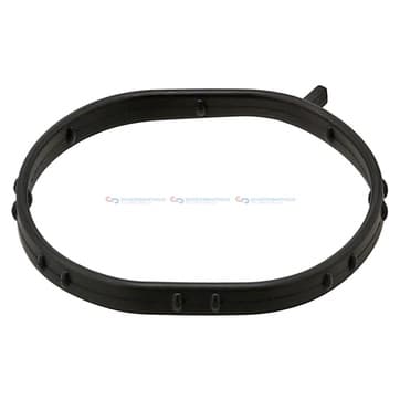 Packning, termostathus