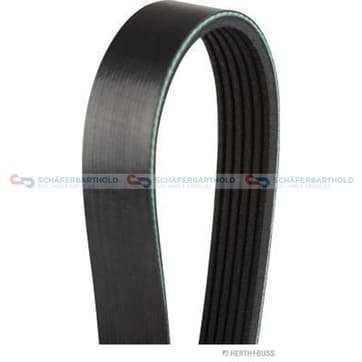 Flerspårsrem 6 1715mm från Autofrance