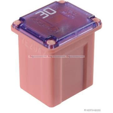 Säkring 30A rosa från Autofrance