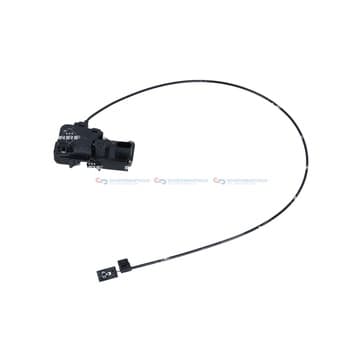 Dörrlås, Höger bak