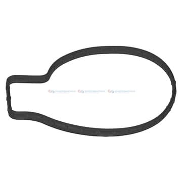 Packning, vattenpump