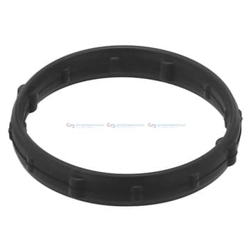 Tätningsring, motoroljenivå sensor