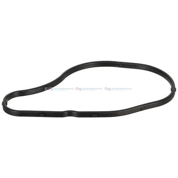 Packning, stedhuslock