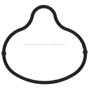 Insugsgrenrörspackning från Autofrance