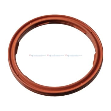 Tätningsring, motoroljenivå sensor