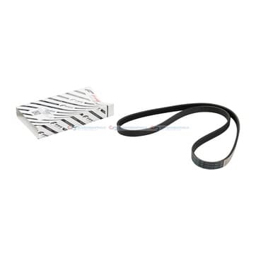 Flerspårsrem från Autofrance