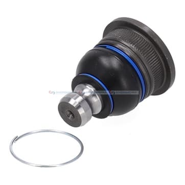 Kulled från Autofrance