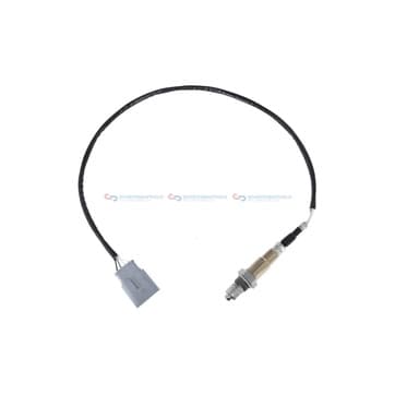 Oljepump från Autofrance