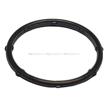 Tätningsring, Vattenpump från Autofrance