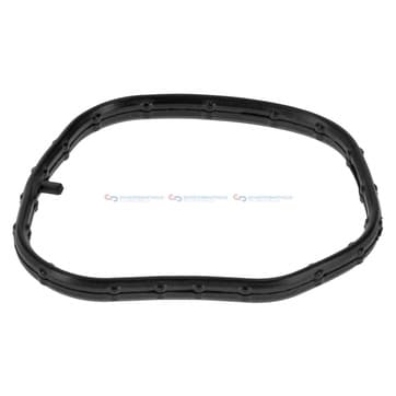 Packning, termostathus