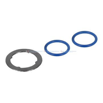 Packningsats, EGR-system