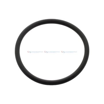 Tätningsring, styrklo