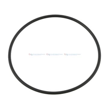 Tätningsring, styrklo