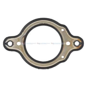 Packning, stedhuslock