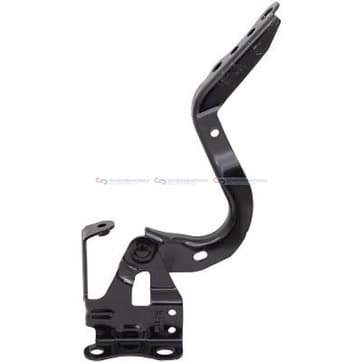 Gångjärn, motorhuv, Höger — Höger från Autofrance